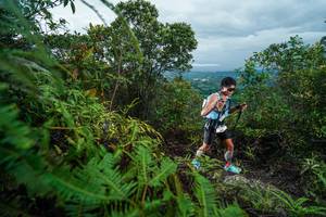 BIB: 
                            <button type="button" onclick="openModal(26196636)" class="btn btn-primary btn-sm float-right btn-popup" data-toggle="modal" data-target=".modal-high-quality">
                        <i class="fas fa-shopping-cart"></i> Add to Cart
                    </button>
                                            <button type="button" onclick="isThisMe(26196636, true)" class="btn btn-success btn-sm float-right btn-popup btn-isme hidden" data-toggle="tooltip" data-placement="bottom" title="นี่คือรูปของคุณใช่ไหม คลิกที่นี่เพื่อเอาเข้าอัลบั้ม">
                        <i class="fas fa-plus"></i> Add to album
                    </button>
                    <button type="button" onclick="isThisMe(26196636, false)" class="btn btn-warning btn-sm float-right btn-popup btn-isnotme hidden">
                        <i class="fas fa-ban"></i> Remove from album
                    </button>